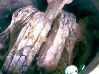 ���, ������� � �������� �����������