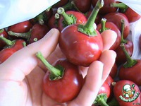 ����� � ������, ��������� � ��������� �����������