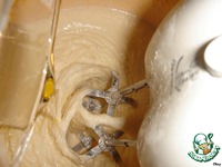 ��������� ���� �����������