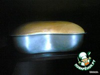 ���� "����" �����������