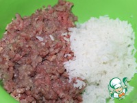 ������� ��������� �����������