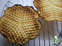 ����� "�����" �����������