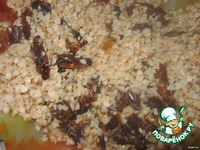 ������ ������������� "����������" �����������