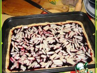 ����� � ������ � ���������� �����������