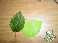 �������� �� ������� �����������