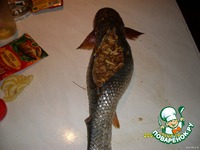 ������������� �������� �����������