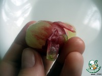 �����-����������� ����� �����������