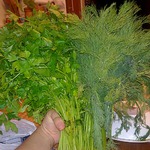 ��� ��������� ������ ������