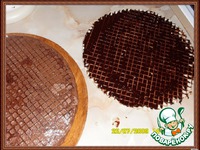 ���������-��������� ���� �����������