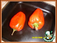 ��������� ������ � ���e���� ����������� � ������� �����������