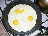 ����� �������� �����������