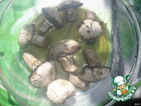 ������� ����� �����������