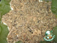 ����� "�������" �����������