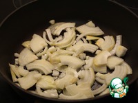 �������-��������� � ���������� � ����������� �����������