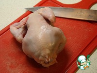 �������-��������� � ���������� � ����������� �����������