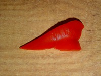 ���������� ���� "�������" �����������