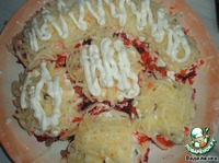 C���� "������ � ���������" �����������