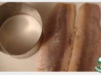 ����� "����e��� � �������" �����������