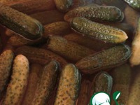 ��������� ������ �� ���� �����������