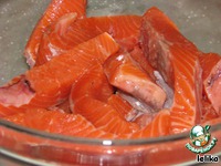 �������� �� ������ �����������