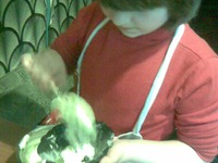 ����� "����� �������" �����������