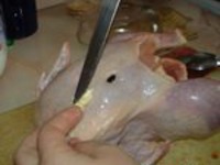 �����-������� �����������