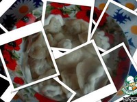 �������� � ���������� �����������