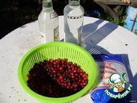 "��������" ������� ���������� �����������