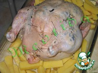 ������ � ������� ��������� �����������