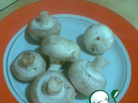 �������� � ������� � ������� ������ �����������