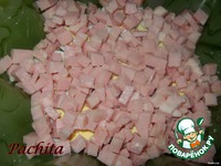 �������� "������" � �������� �����������