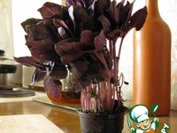 ������ ��� ������������� �����������