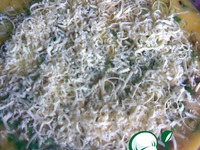 ����� "�������" �����������