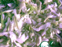 ������������� ��������� "�������" �����������