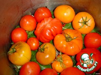 �������� ����������� �����������