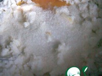 ���������� ��������� ������ �����������