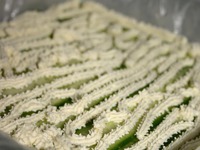 ����-���� �����������