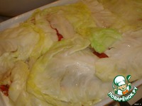 ��������� ��������� �����������