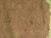 ����� �����������