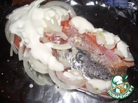 ������ � ��������� �����������