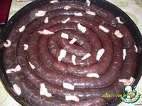 ������� "�������� ��������" (�����) �����������