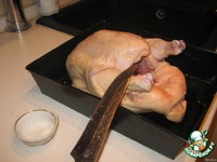 ������������� ������ "�������" �����������