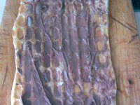 �����-x������� �����������