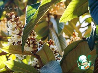 ���������� ����� � ��������� � ��� � ��� ��������