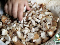 ���������� � �������� �����������