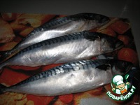 ������ �� �������� � ��������� �����������