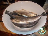 ������� ��-�������� �����������