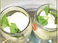 ������������ ��������� �����������