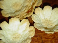 ����������  "������" �����������