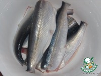 ������� ��-�������� �����������